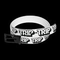 Databug Unisex Belt