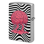 BRAINZY Lighter Case