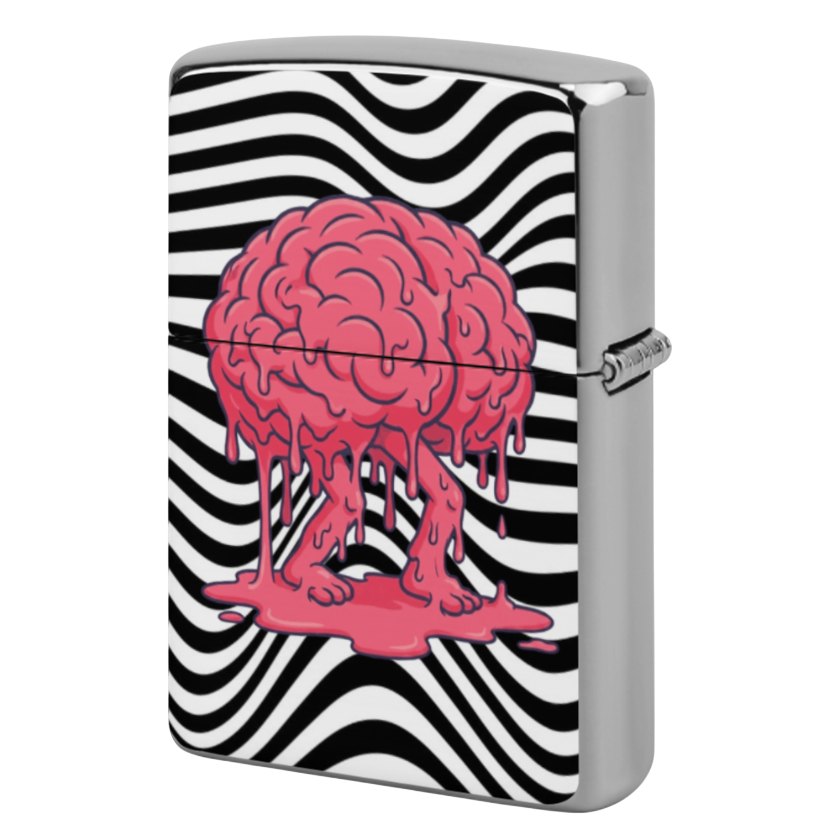 BRAINZY Lighter Case